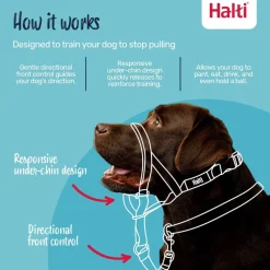 The Company of Animals Halti Head Collar For Dogs