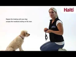 The Company of Animals Halti Optifit For Dogs