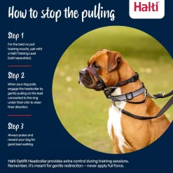 The Company of Animals Halti Optifit For Dogs
