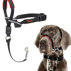 The Company of Animals Halti Optifit For Dogs