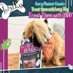The Lazy Dog Cookie Co. Spooktacular Snacks Honey Apple & Cinnamon Treats For Dogs (5 oz)