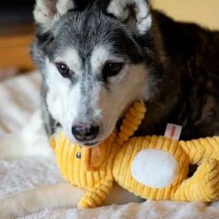 ThoozyPet Tuff & Cuddly Duck Plush Dog Toy, 12.5