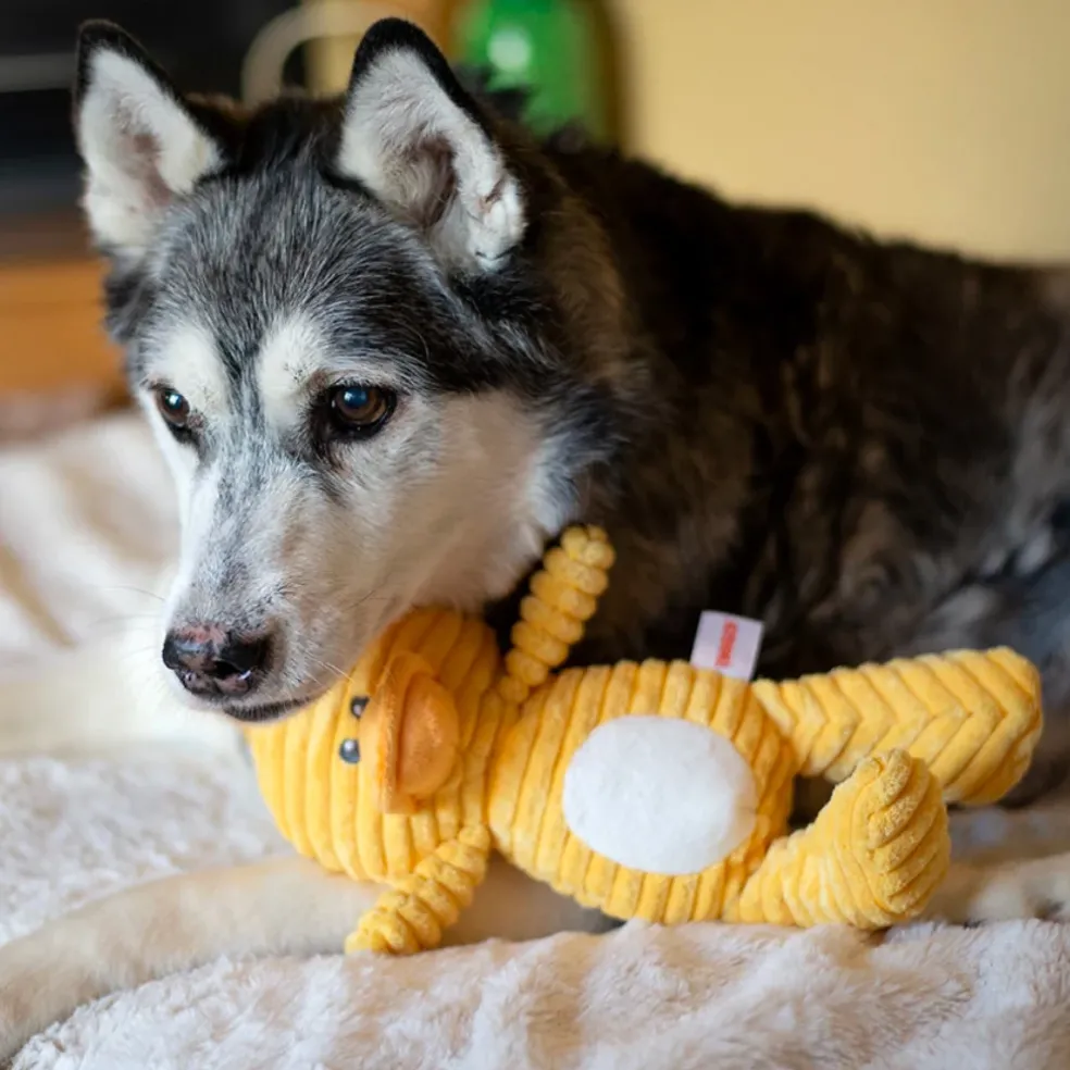 ThoozyPet Tuff & Cuddly Duck Plush Dog Toy, 12.5"