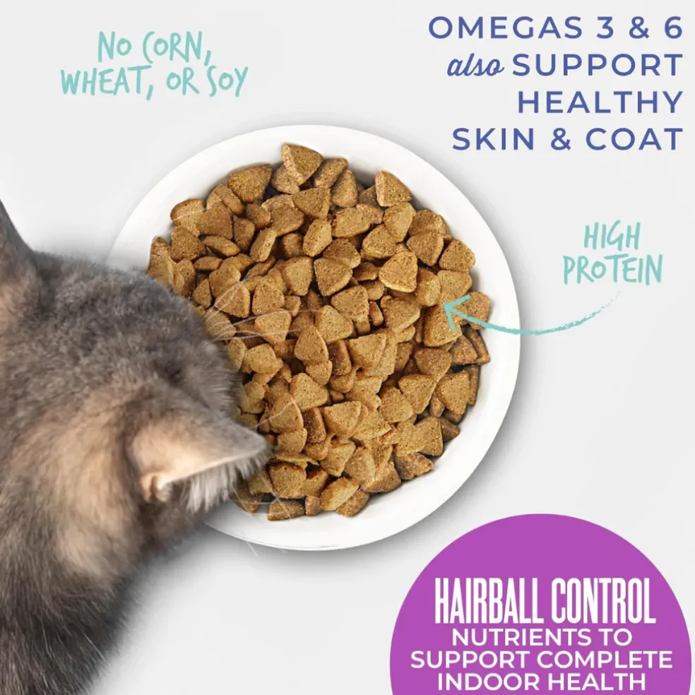 Tiki Cat Born Carnivore Hairball Control Chicken Recipe Dry Cat Food