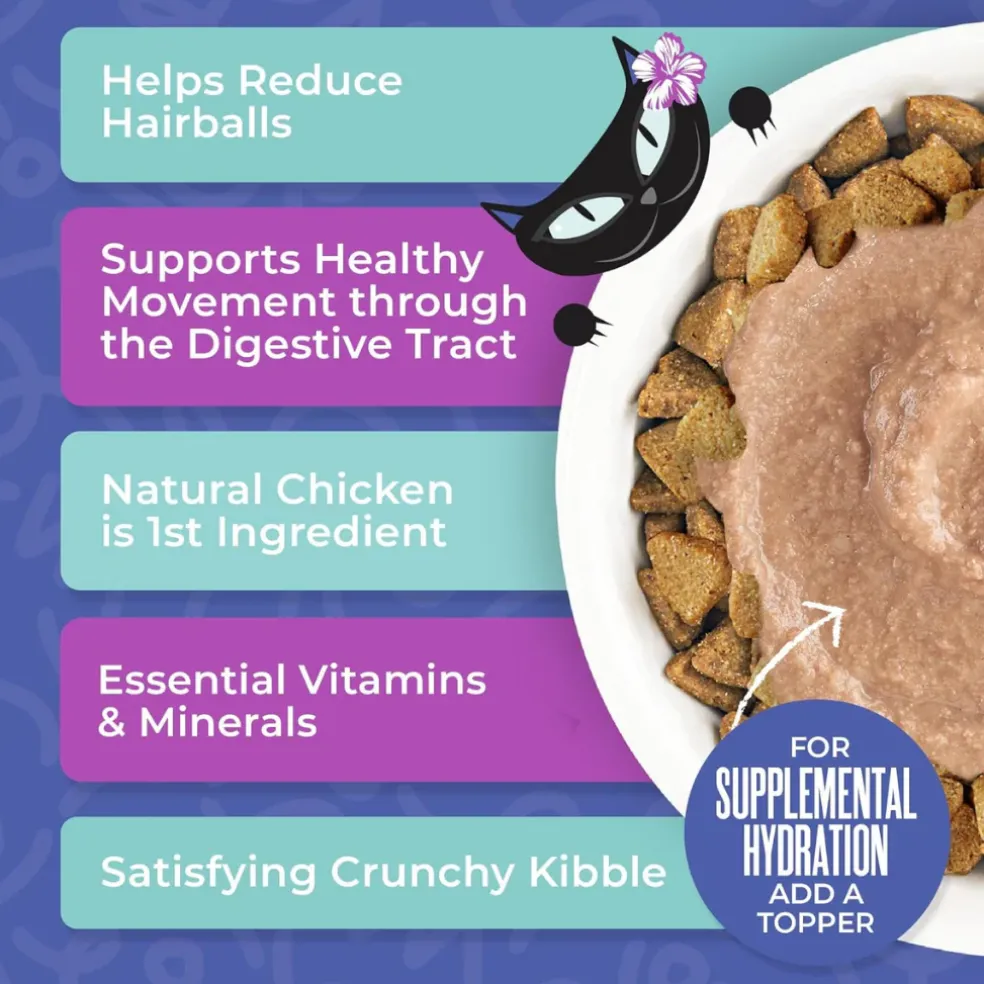 Tiki Cat Born Carnivore Hairball Control Chicken Recipe Dry Cat Food
