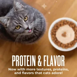 Tiki Cat Friends Stix Chicken & Pumpkin Recipe in Creamy Gravy Lickable Cat Treats (0.4 oz x 4 servings)