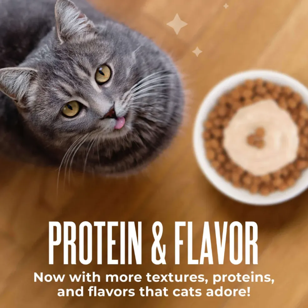 Tiki Cat Friends Stix Chicken & Pumpkin Recipe in Creamy Gravy Lickable Cat Treats (0.4 oz x 4 servings)