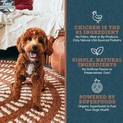 Treat Collective Chicken + Blueberry & Pomegranate Training Dog Treats (9 oz)