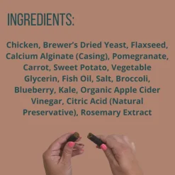 Treat Collective Chicken + Blueberry & Pomegranate Dog Jerky Sticks (16 pack)