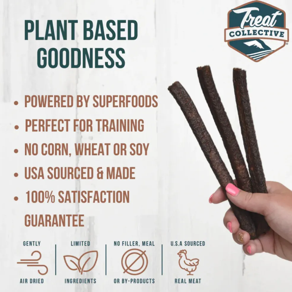 Treat Collective Chicken + Blueberry & Pomegranate Dog Jerky Sticks (16 pack)