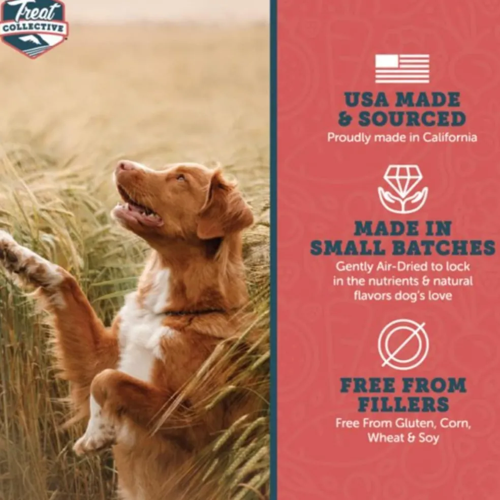 Treat Collective Salmon + Pomegranate Training Dog Treats (9 oz)