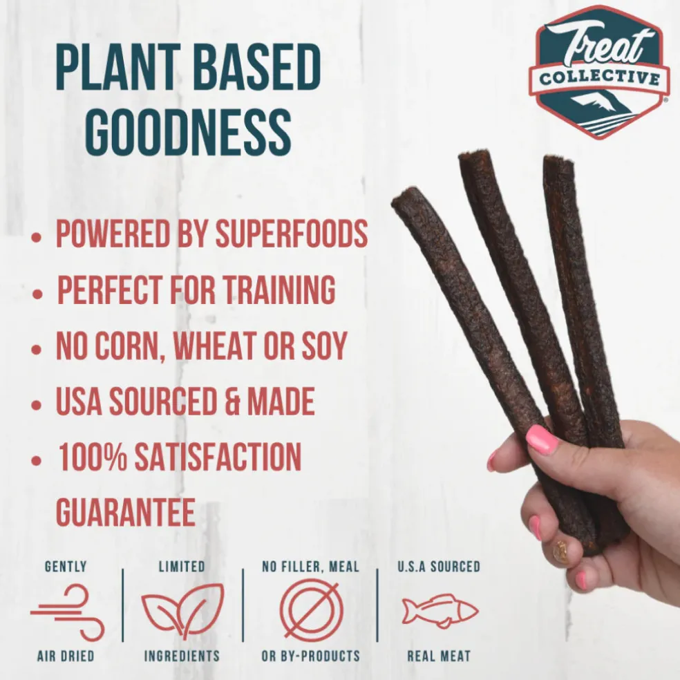 Treat Collective Salmon + Pomegranate & Sweet Potato Dog Jerky Sticks (16 pack)