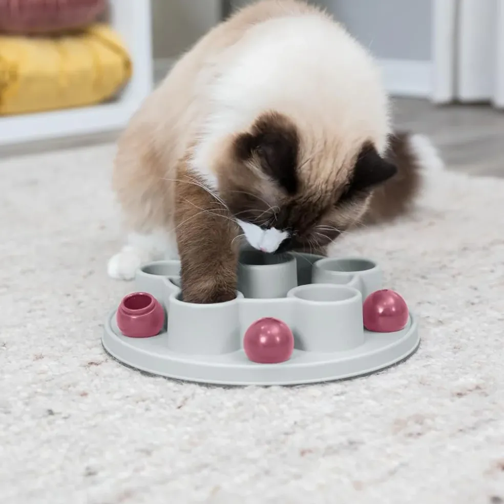Trixie Cat Activity Pentagon Interactive Cat Toy