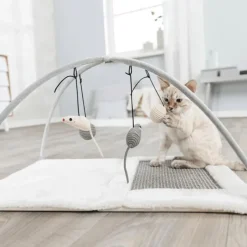 Trixie Cat Junior Activity Center