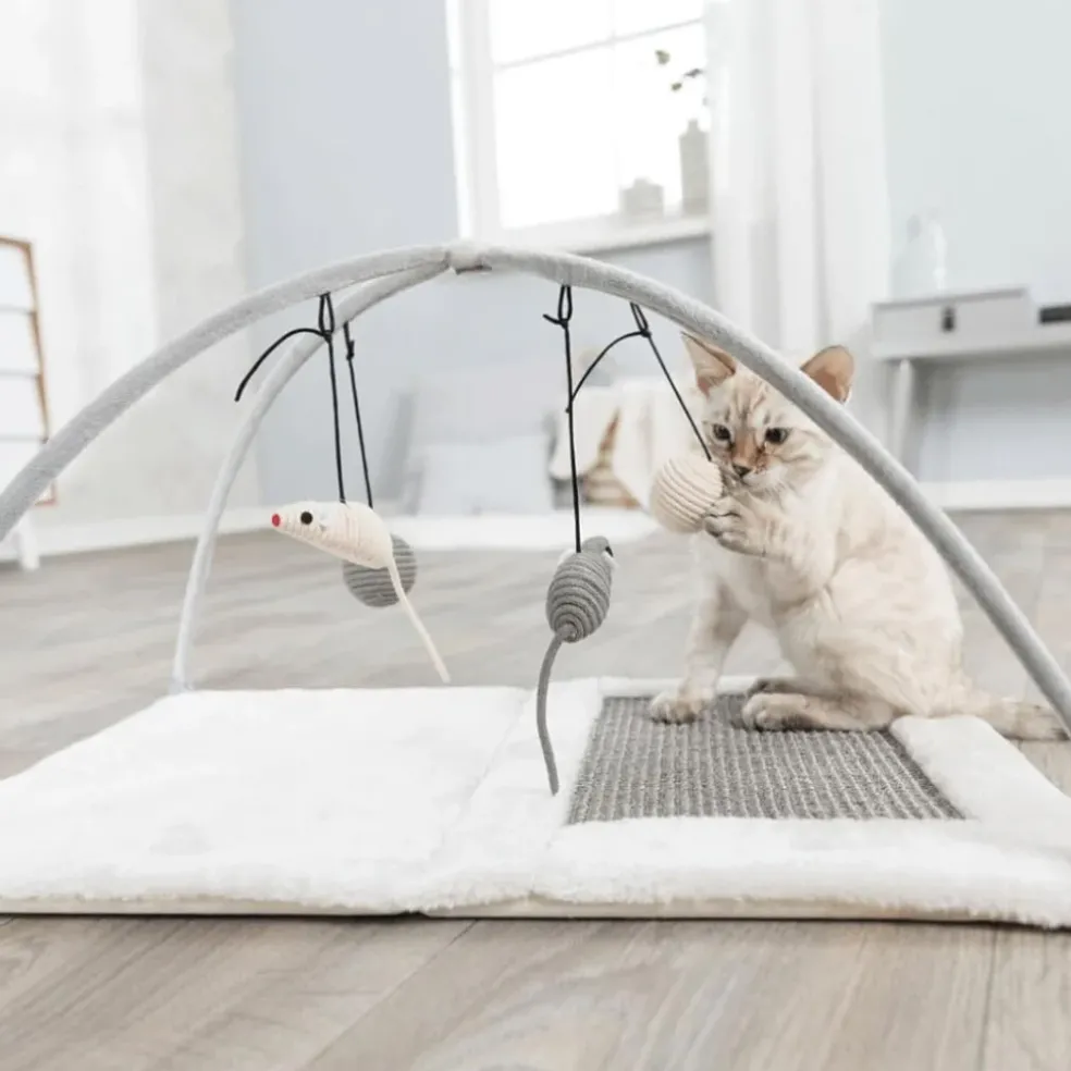 Trixie Cat Junior Activity Center
