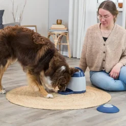 Trixie Dog Activity Memory Trainer 3.0