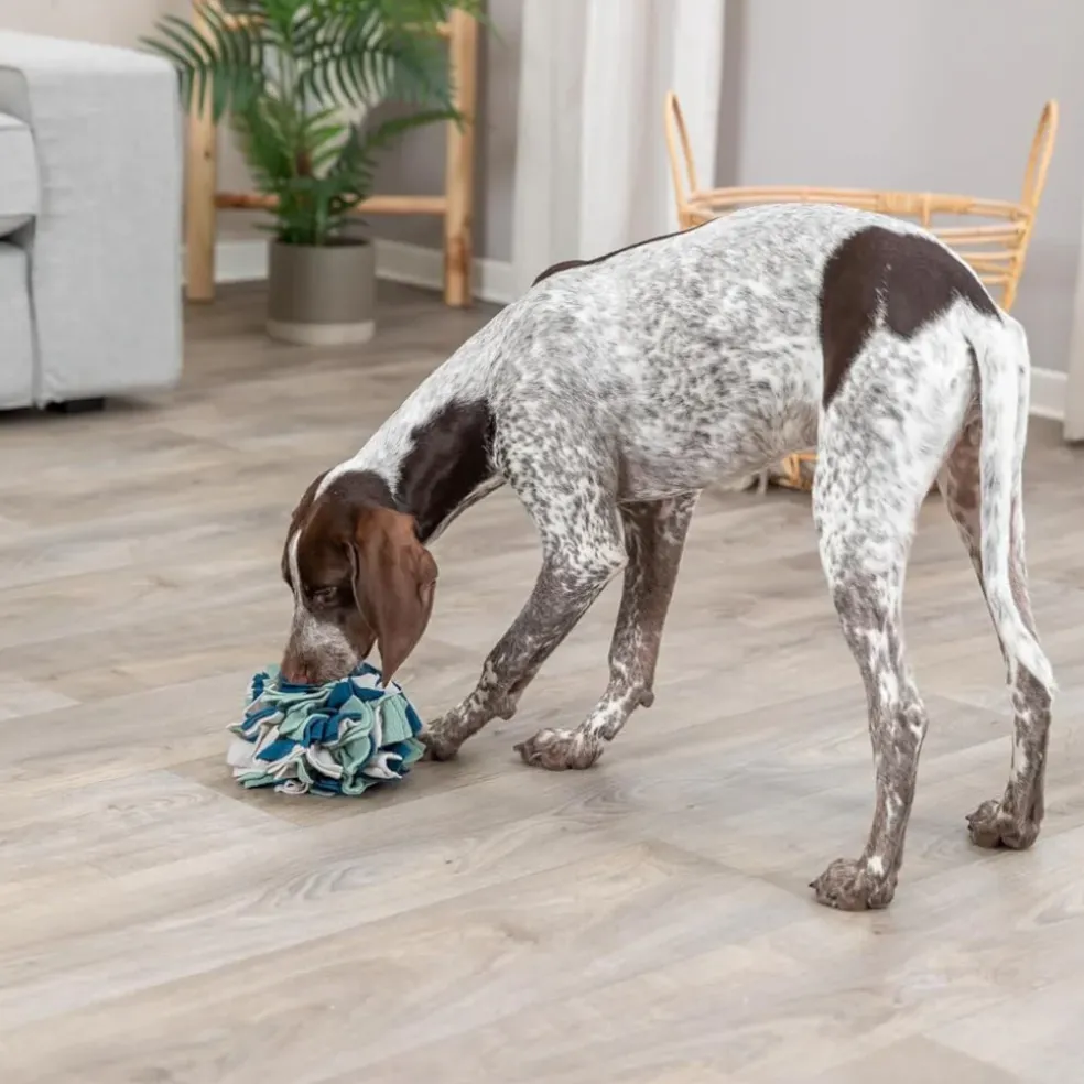Trixie Dog & Cat Activity Snuffle Ball