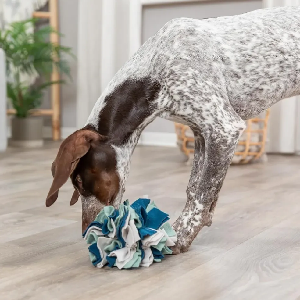 Trixie Dog & Cat Activity Snuffle Ball