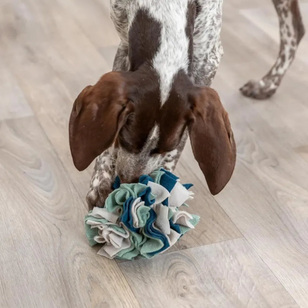 Trixie Dog & Cat Activity Snuffle Ball