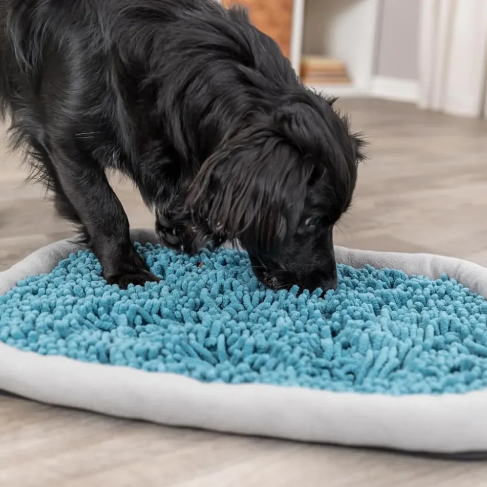 Trixie Dog & Cat Activity Snuffle Plate