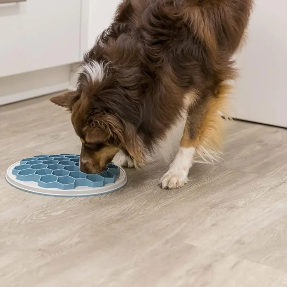 Trixie Dog Slow Feeding Hive Plate