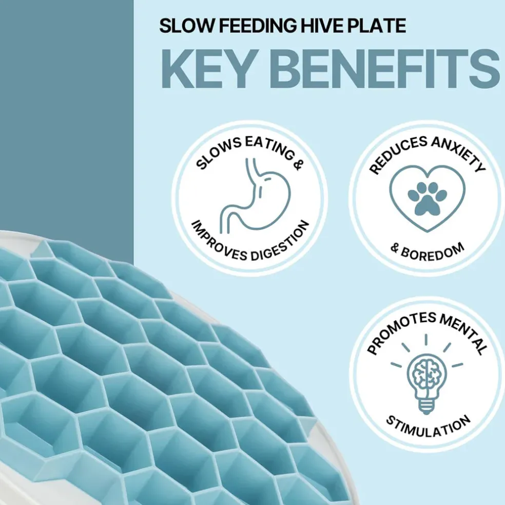 Trixie Dog Slow Feeding Hive Plate