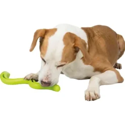 Trixie Dog Snack Snake Interactive Dog Toy, Assorted Colors