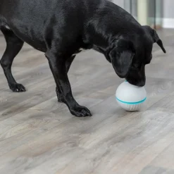 Trixie Dog Treat Tumbler Snack Ball Level 1 Puzzle