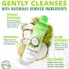 Tropiclean Aloe Moist Deodorizing Shampoo for Pets (20 oz)