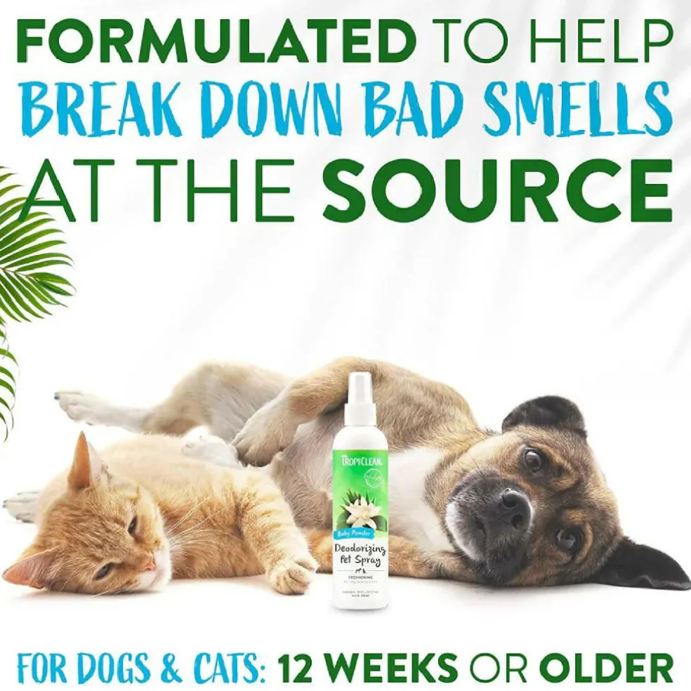 Tropiclean Baby Powder Deodorizing Pet Spray (8 oz)
