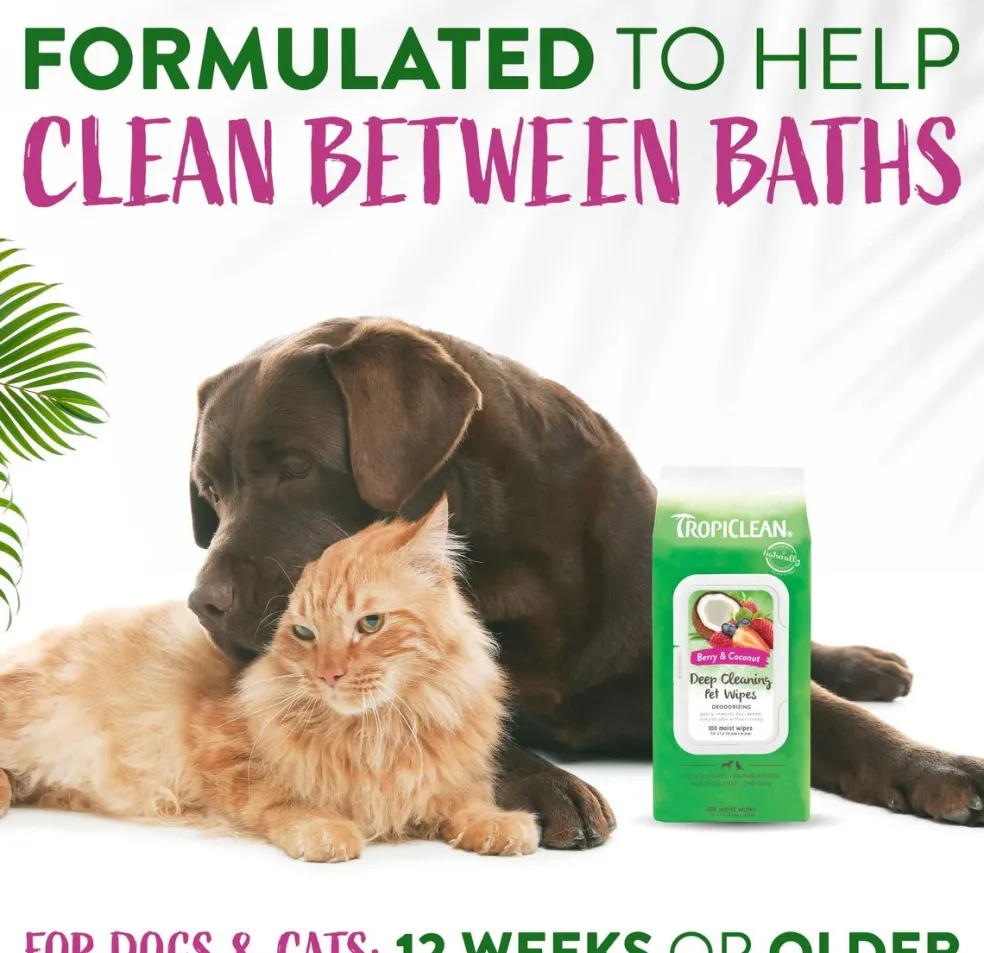 Tropiclean Deep Cleaning Berry & Coconut Deodorizing Pet Wipes (100 ct)