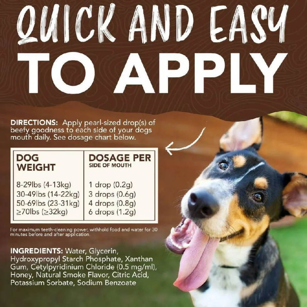 TropiClean Enticers Dental Cleaning Gel for Dogs Smoked Brisket Flavor