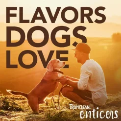 TropiClean Enticers Dental Cleaning Gel Honey Chicken Dog (2 oz)