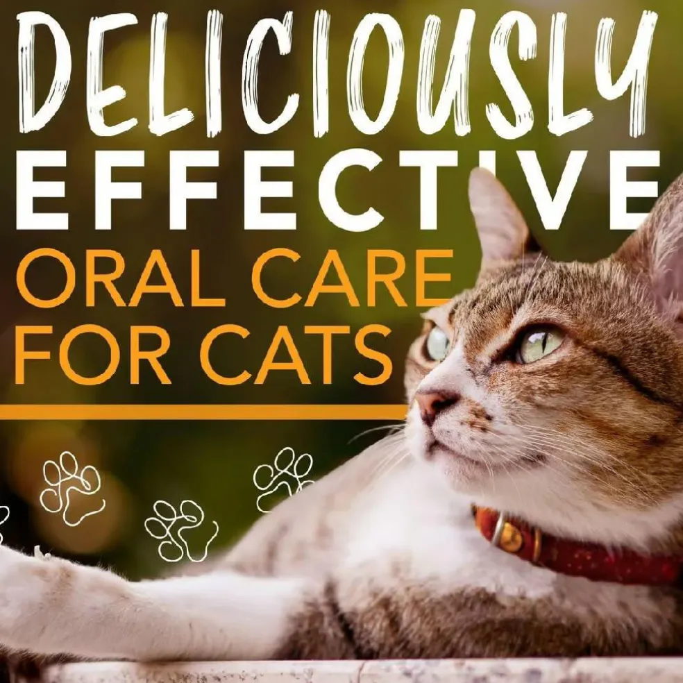 TropiClean Enticers Teeth Cleaning Honey Marinated Chicken Flavor for Cats (2oz)