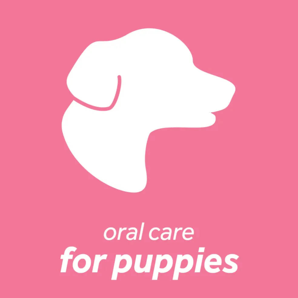 TropiClean Fresh Breath Dental Health Solution for Puppies (16 oz)
