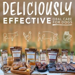 TropiClean Fresh Breath Enticers Smoked Beef Brisket Oral Care Kit for Dogs, 2oz