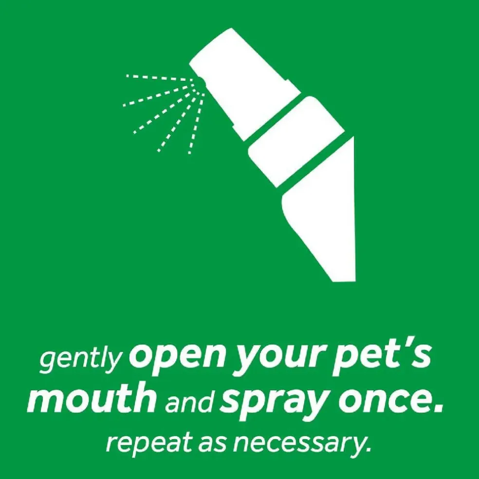 Tropiclean Fresh Breath Freshener Mint Foam For Pets (4.5 oz)