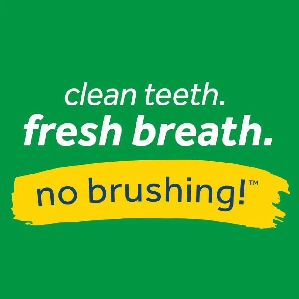 Tropiclean Fresh Breath Freshener Mint Foam For Pets (4.5 oz)