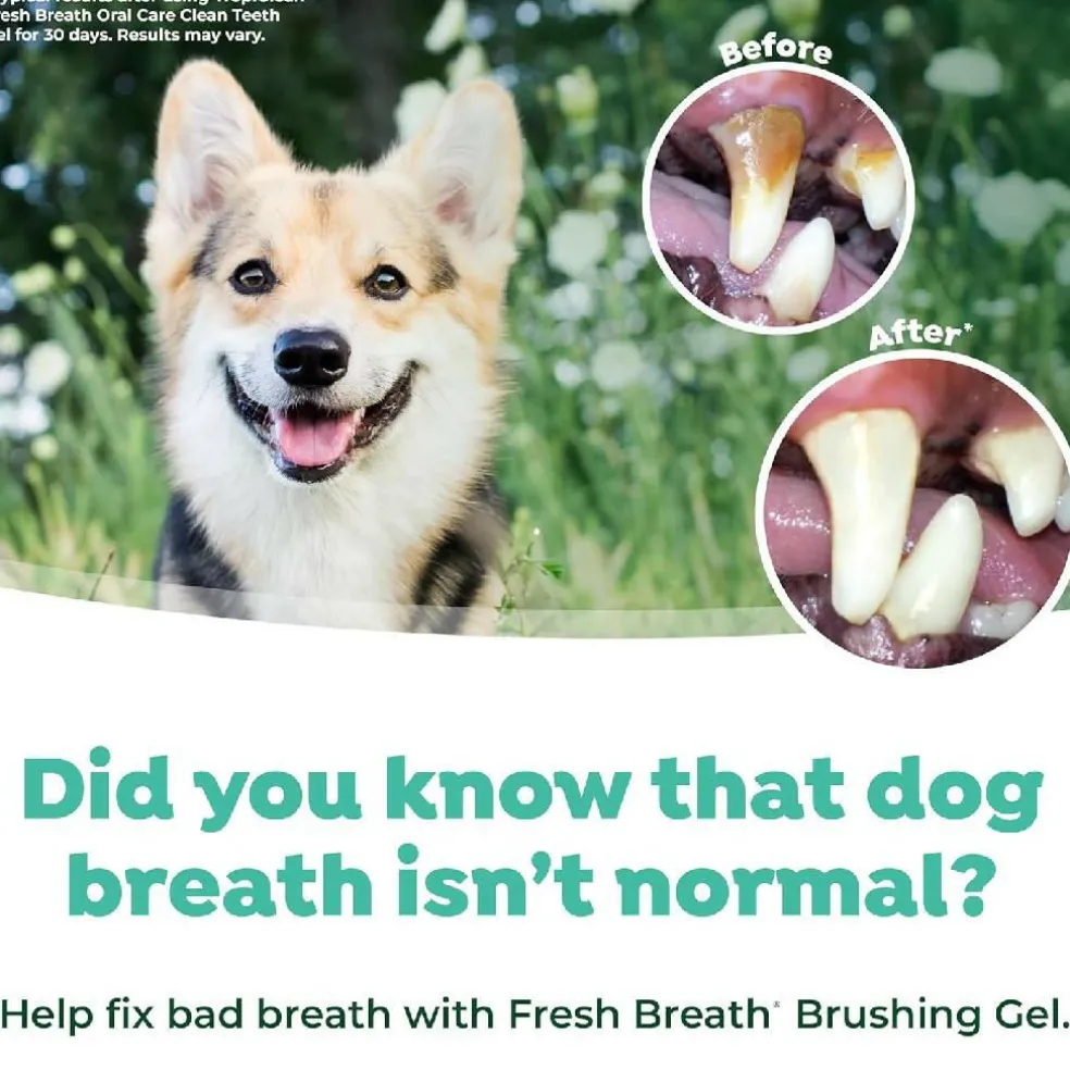 TropiClean Fresh Breath Oral Care Kit for Small & Medium Dogs