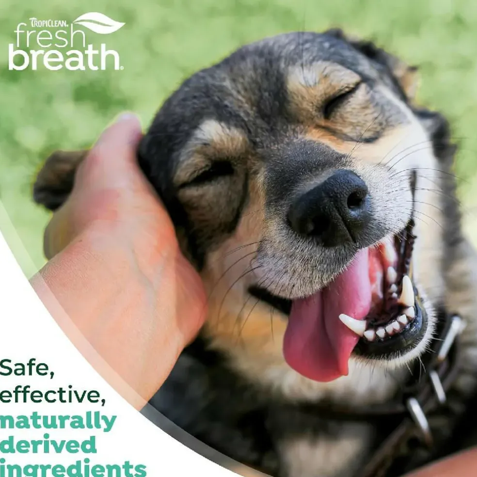 TropiClean Fresh Breath Oral Care Kit for Large Dogs