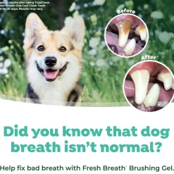 TropiClean Fresh Breath Total Care Dental Kit for Dogs