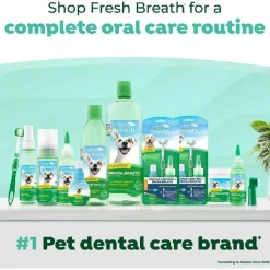 Tropiclean Fresh Breath Water Additive with Digestive Support (16 oz)