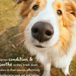 TropiClean Lime & Coconut Deodorizing Spray for Pets (8 oz)