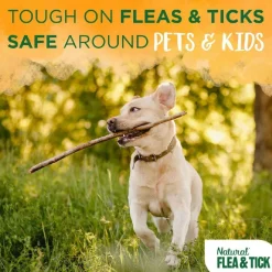Tropiclean Natural Flea & Tick Bite Relief Spray (8 oz)