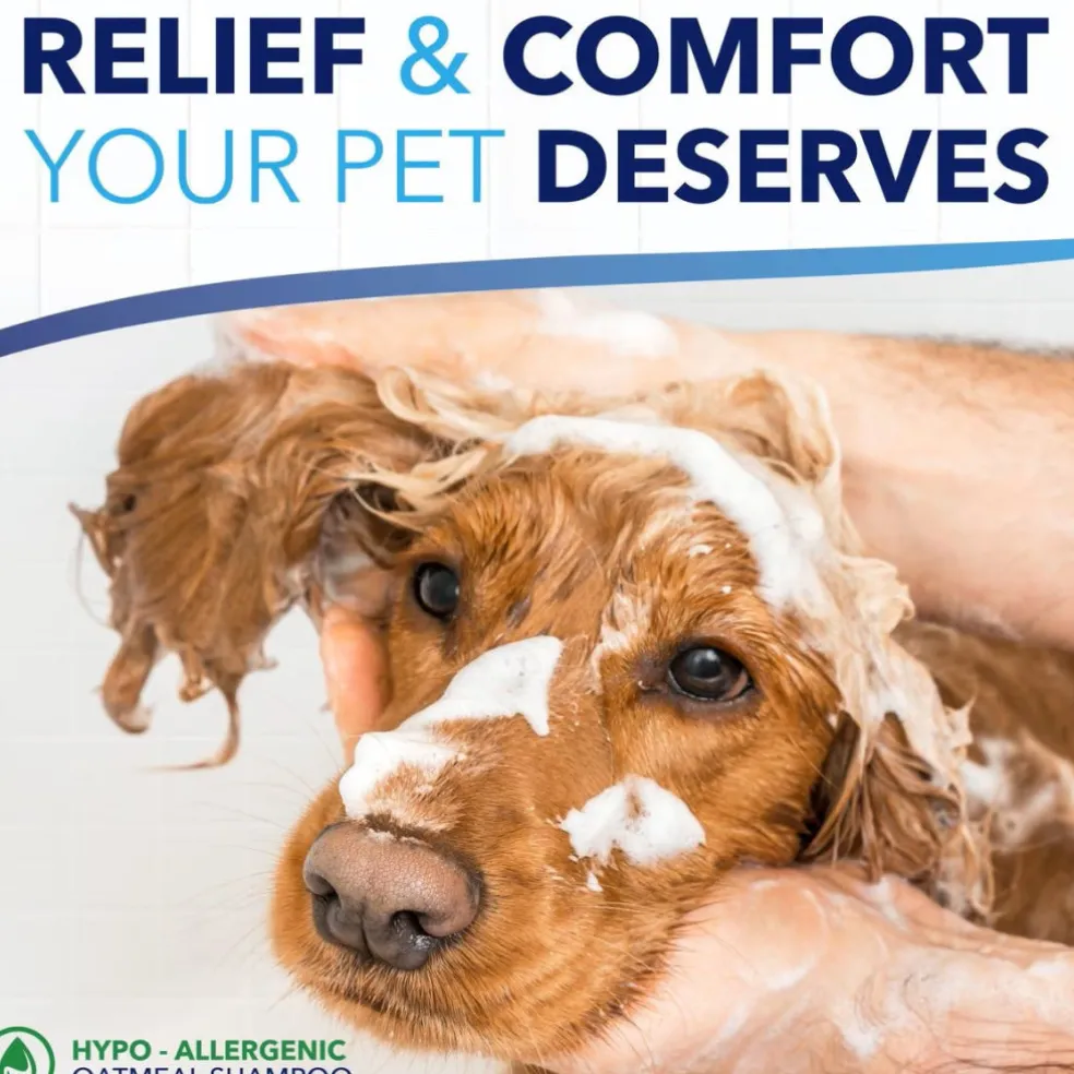 TropiClean OxyMed Hypoallergenic Oatmeal Shampoo for Dogs & Cats