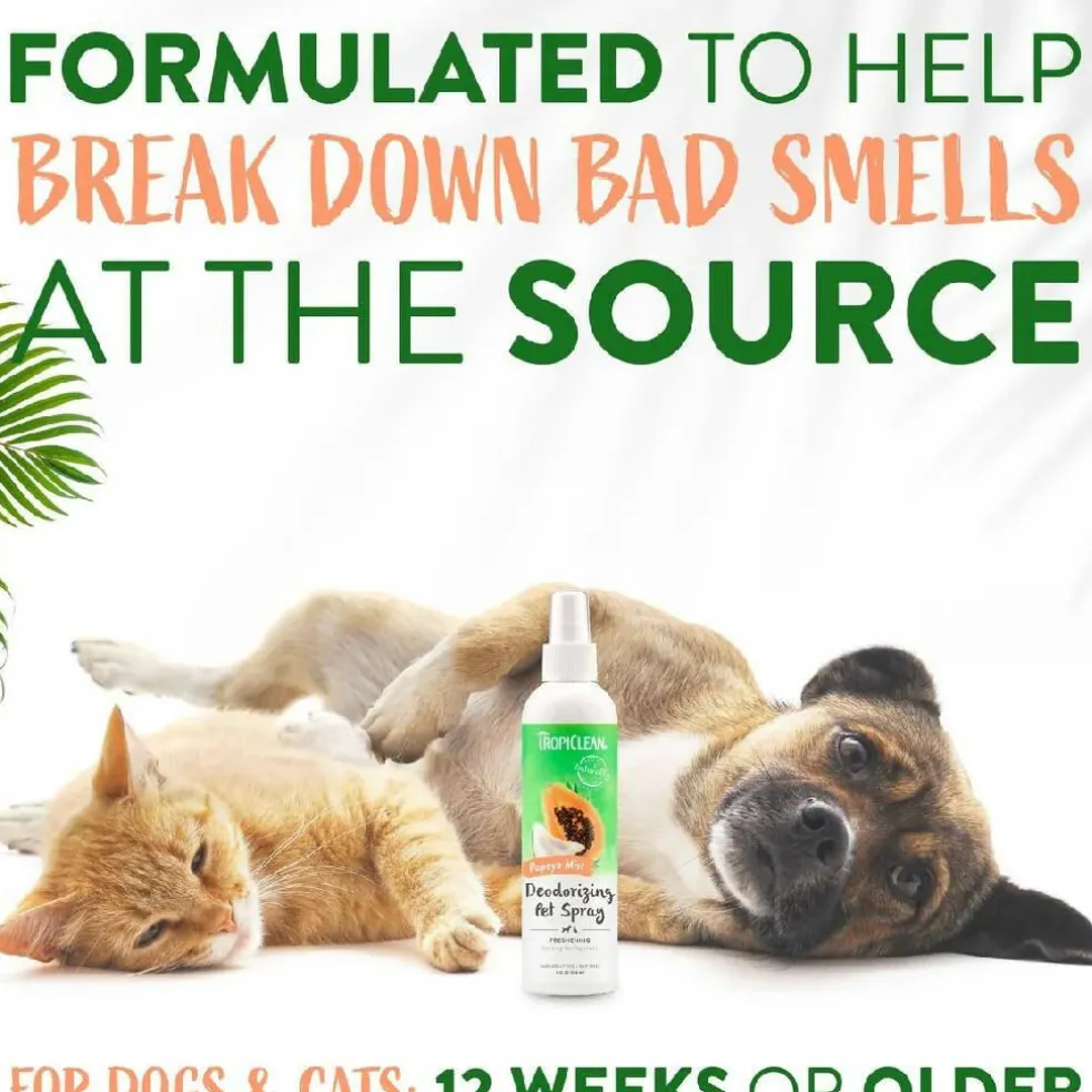 Tropiclean Papaya Mist Deodorizing Pet Spray (8 oz)