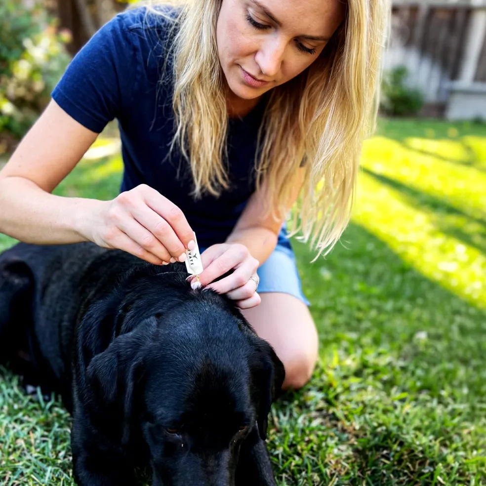 TVATI Pet Massage Oil, 30 doses - 0.5ml, 1-pack (for Pets)