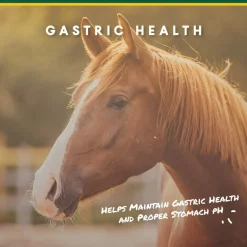 U-Gard Gastric Support Pellets for Horses