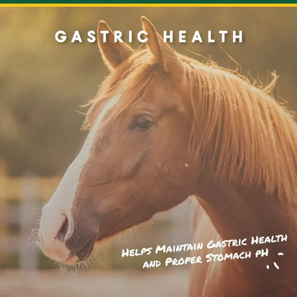U-Gard Gastric Support Pellets for Horses