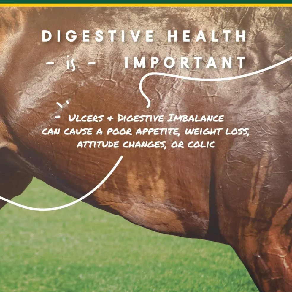 U-Gard Gastric Support Pellets for Horses